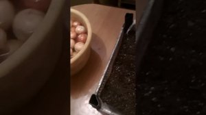 Первая посадка лука на перо. Выращивание дома.