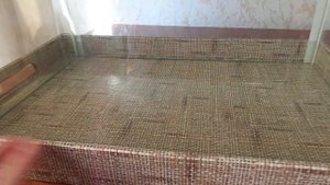 И не нужно покупать клетку для хомяка!