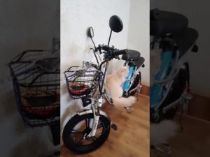 Отзыв покупателя на Электровелосипед Minako V8 ECO 500w