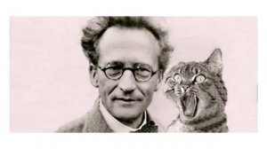 Спасти кота Шредингера. Сергей Сипаров. Saving Schroedinger's Cat. Sergey Siparov