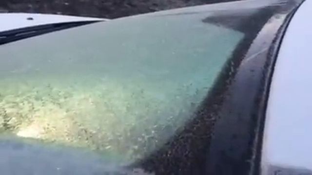 Обогрев лобового стекла Форд Фокус3 смотреть онлайн