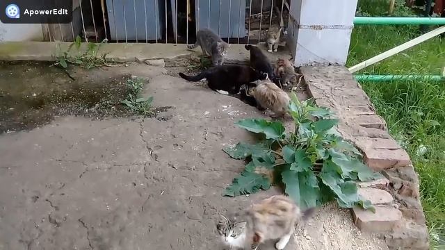 КУПИЛИ ДОМ В ДЕРЕВНЕ/СДЕЛАЛИ РАКОВИНУ СВОИМИ РУКАМИ/ПОКАЗЫВАЮ САРАЙ/ПРОСТАЯ ЖИЗНЬ И СЕМЬЯ