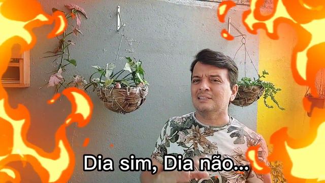 Como CULTIVAR e CUIDAR do SYNGONIUM | Ricardo Brito смотреть онлайн