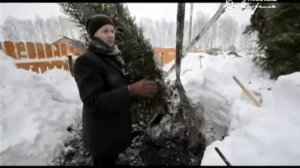 Посадка крупномеров. Ландшафтный дизайн твоей мечты!.mp4