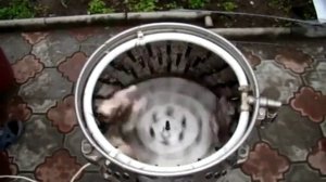 Перосъемная машина Вихрь. Ощип перепелов.