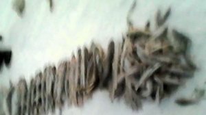 Рыбалка в Забайкалье, итог