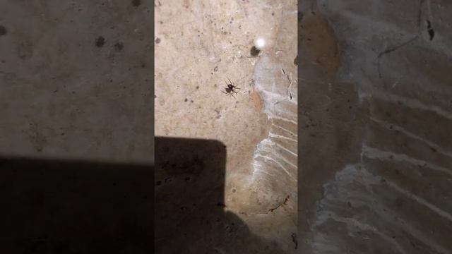 Это так по всей трассе коммуникации искали свой кабель и вешали бирки +красили в жёлтый цвет(оптика смотреть онлайн