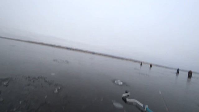 ЗИМНЯЯ РЫБАЛКА С ПРАКТИКОМ