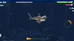голодные акулы игра про акул которые едят людей и рыб