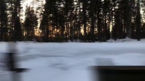 Успокаивающий стук колес поезда для сна.