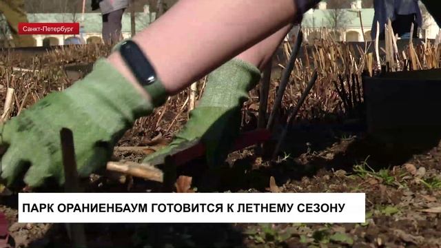В парке Ораниенбаум полным ходом идет подготовка музея-заповедника к летнему сезону