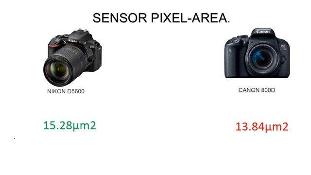 Canon 800D(Rebel T7i) vs Nikon D5600 (Straight to the Point) смотреть онлайн