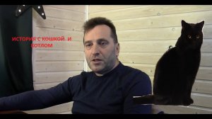 10.1 История с кошкой. Случай из практики