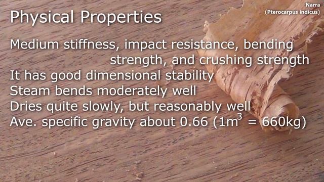 Narra (pterocarpus indicus) - Mitch's World of Woods смотреть онлайн