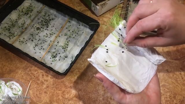 Пересадка лука и семян !
