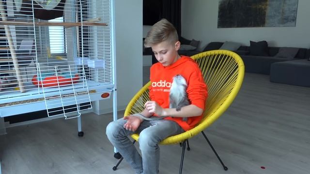 У нашей обезьянки ЭПИЛЕПСИЯ - судороги...Жалко до СЛЁЗ. смотреть онлайн