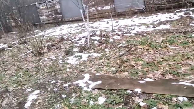 Старость меня дома не застанет!!! смотреть онлайн