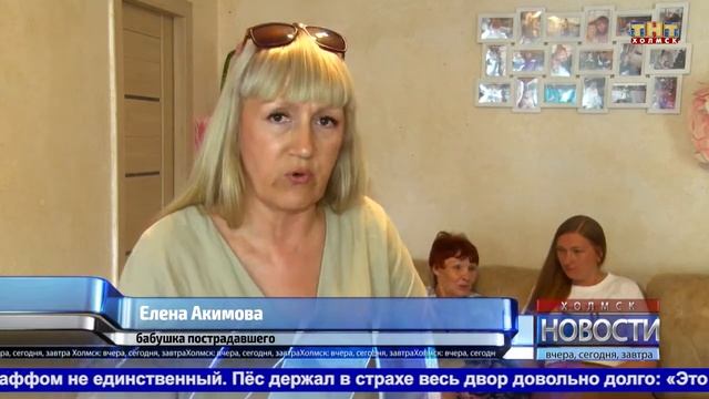 Домашний стаффордширский терьер напал на ребёнка