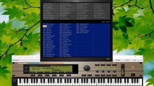 Roland XV-5080 (Roland Clound)