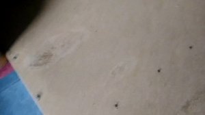 Как я сделала из углового дивана - прямой \ How I made a corner sofa - a straight?