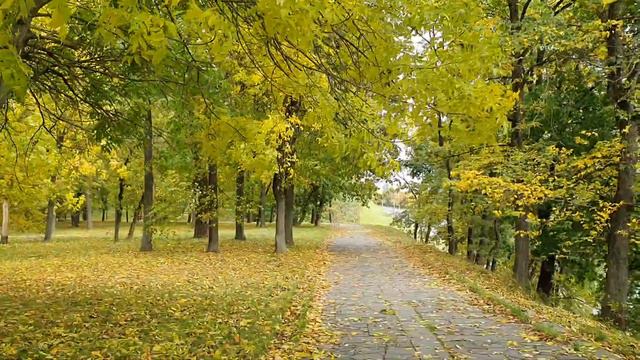 Лена и Ваня LIFE \ Иногда лучше молчать, чем говорить! \ Обзор влогов