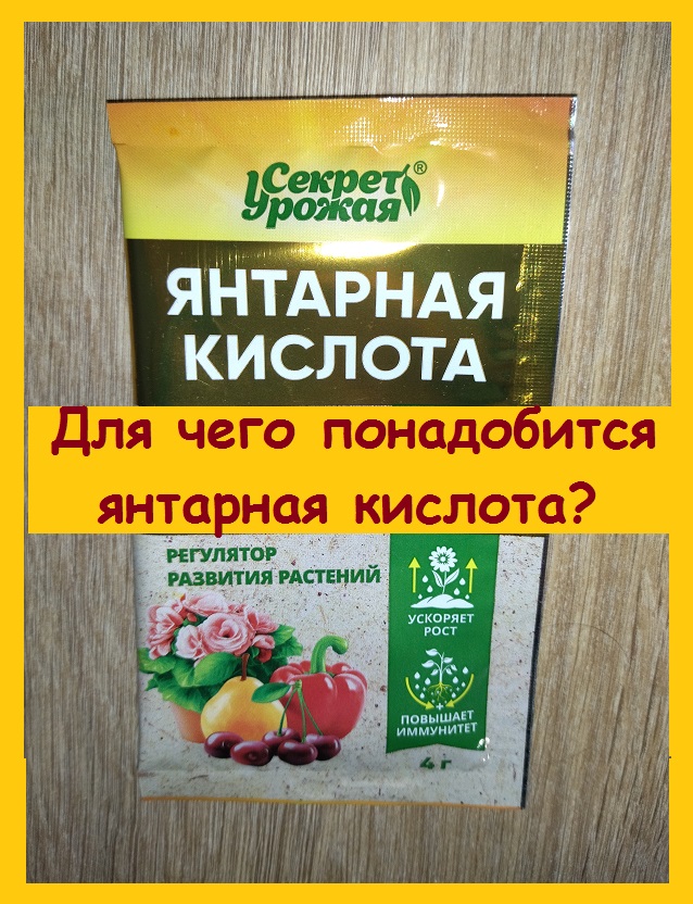 Янтарная кислота - натуральный стимулятор и регулятор роста растений. А вы ее применяете?