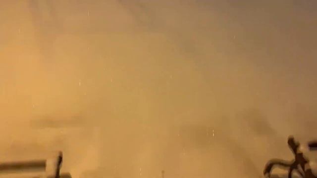 Дети Добряковы Декабрь 2022 смотреть онлайн