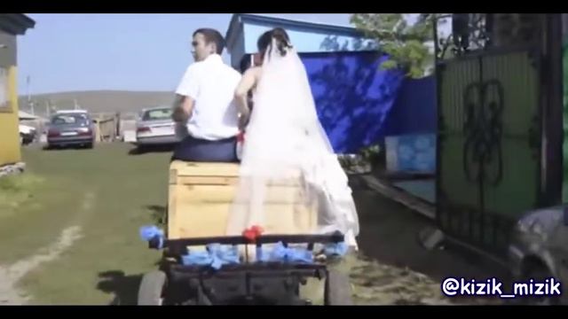 Туй смотреть онлайн