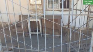 ДАЯР БИЗНЕС Магазин  АРЕНДАГА БЕРИЛЕТ~28м.кв Г.Раззаков Тел+996 776 102 110 Тел:+7 960 921-73-89