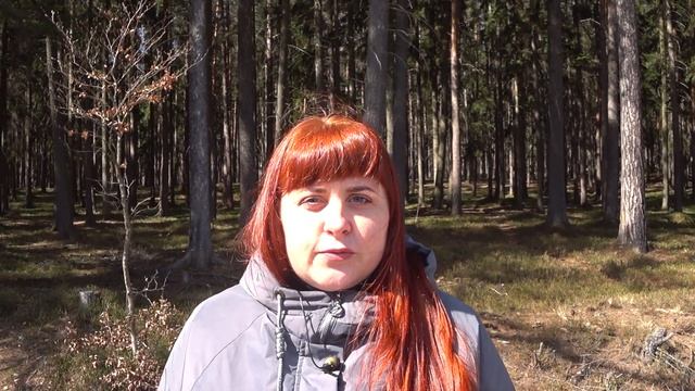 ЦЕНА ПЕРЕЕЗДА, КАКИЕ ДОКУМЕНТЫ НУЖНО ОФОРМИТЬ ДЛЯ ПЕРЕВОЗКИ ЖИВОТНОГО ИЗ УКРАИНЫ В ЕВРОПУ!? смотреть онлайн