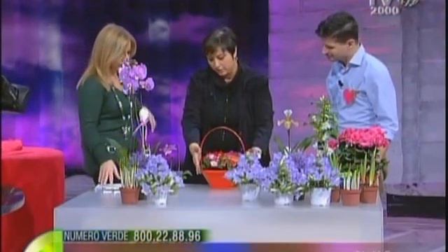 Quale pianta regalare per San Valentino? смотреть онлайн