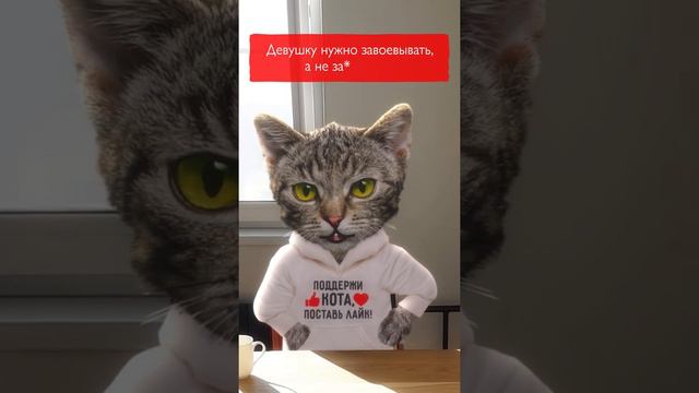 Цитаты для Девушек о Жизни и Любви (Часть 10).  Девушку нужно завоевывать, а не...