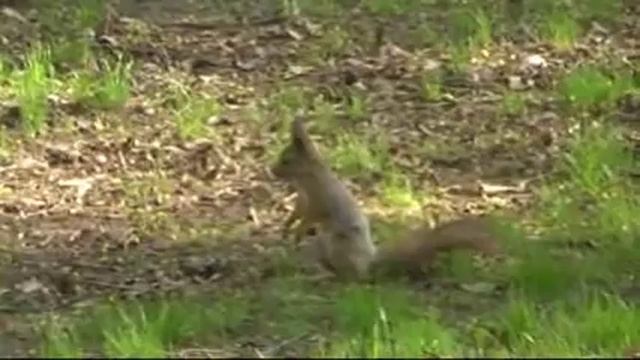 В парке смотреть онлайн