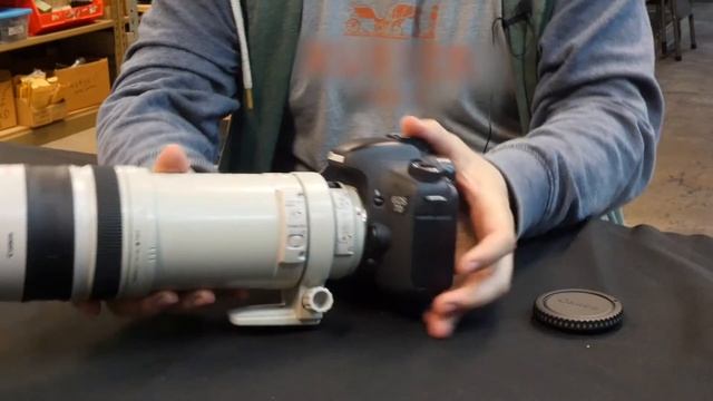 Mini Review: Canon 100 400 L IS USM Lens - KEH Camera смотреть онлайн