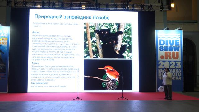 Киты. Лемуры. Баобабы смотреть онлайн