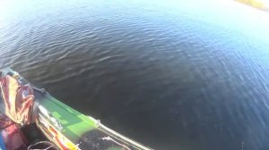 Снасточка с натуральной рыбкой, шлем-маска