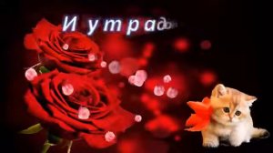 Я ХОЧУ БЫТЬ С ТОБОЙ. КРАСИВОЕ ПОЖЕЛАНИЕ.