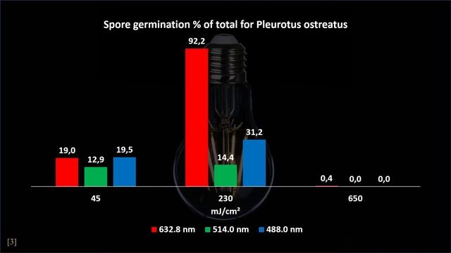 How light will influence the spore germination of your mushroom смотреть онлайн