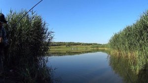 Pescuit pe lac în Nova Kureshnitsa (Рыбалка на озере в Новой Курешнице)