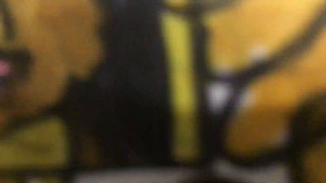 Показываю свои рисунки смотреть онлайн