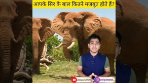 आपके सिर के बाल कितने मजबूत होते हैं? || Amazing Facts #shorts #ufbyus