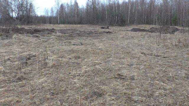 БИТАЯ ДЕРЕВНЯ В ГЛУШИ! КОП ЦАРСКИХ МОНЕТ С МЕТАЛЛОИСКАТЕЛЕМ, НАХОДКИ КЛАДОИСКАТЕЛЯ В УРОЧИЩЕ смотреть онлайн