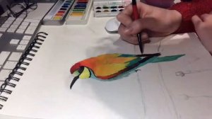 Bee eater watercolour