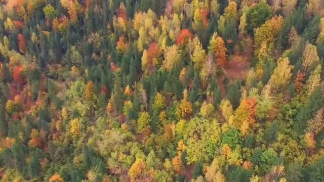   ЗОЛОТОЙ САКСОФОН   31 03 2023  MakarovFeodor