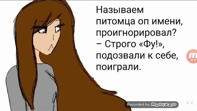 Как научить щенка команде "Нельзя" Ч.О смотреть онлайн