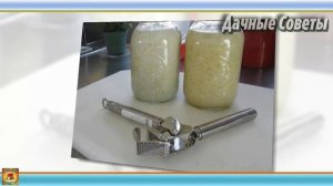 Фитофтора на помидорах. Обработайте чесночным раствором томаты и фитофтороза не будет. Дачные совет