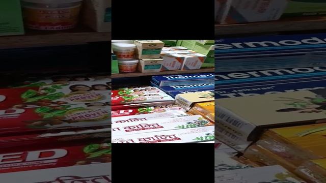 export_2917637646654429343.mp4