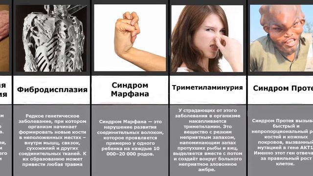 Сравнение: Генетические мутации человека