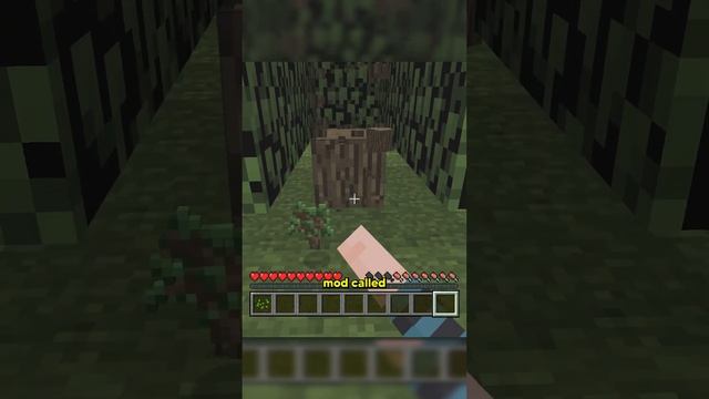 I Re-Created Xbox 360 Minecraft...