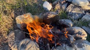 Приготовил гигантскую креветку Розенберга. Giant grilled shrimp. ?